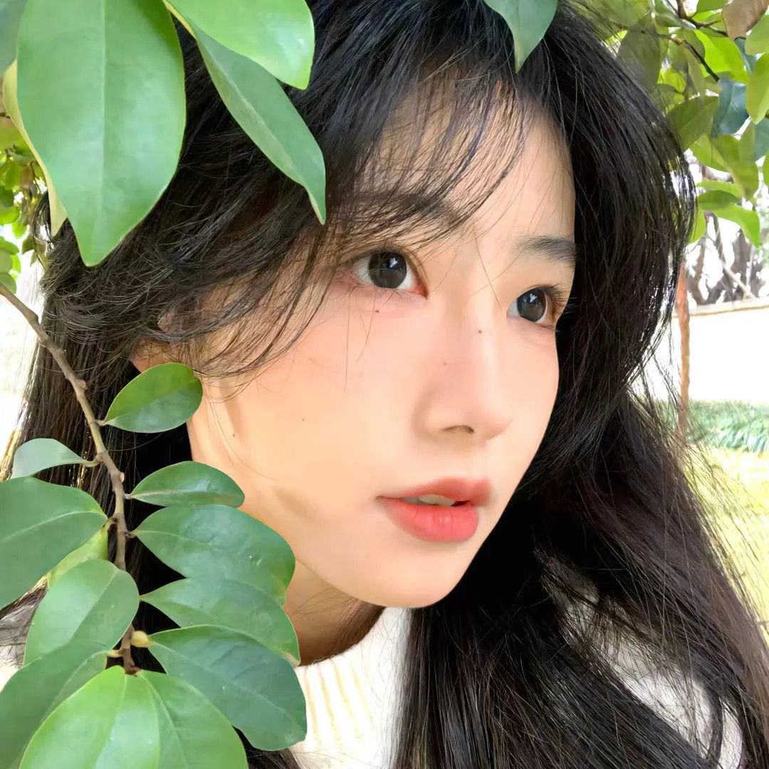 黑夜追击
